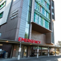 Seattle Children’s Hospital Campus Exterior Forest B