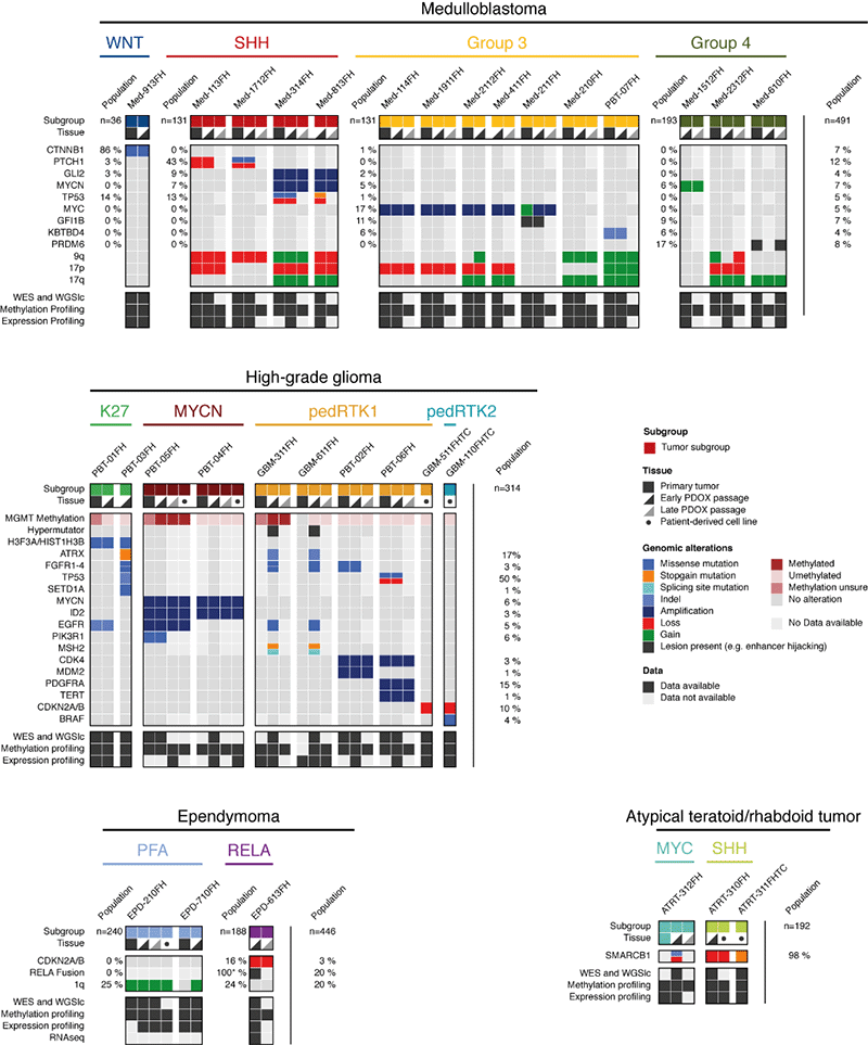 Best characterized models of the Brain Tumor Resource Lab.png