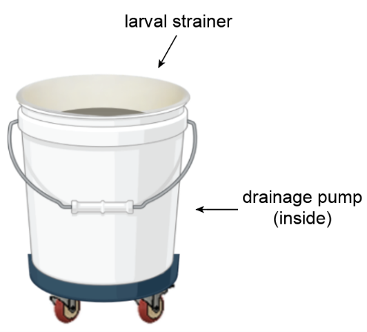 A self-emptying bucket for breeding mosquitos