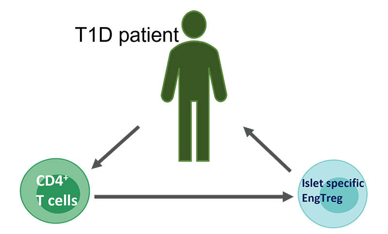 Infographic featuring Type 1 diabetes patient