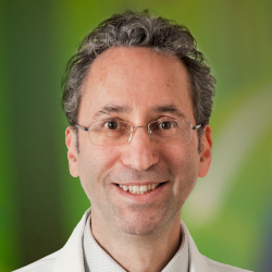 Kenneth A Schenkman, MD, PhD