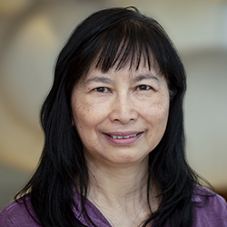 Carol H Miao, PhD